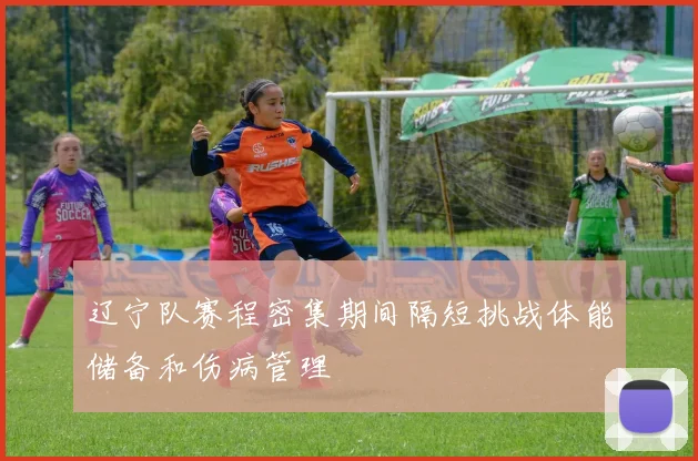 辽宁队赛程密集期间隔短挑战体能储备和伤病管理