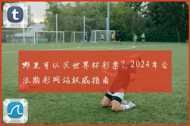 哪里可以买世界杯彩票？2024年合法购彩网站权威指南