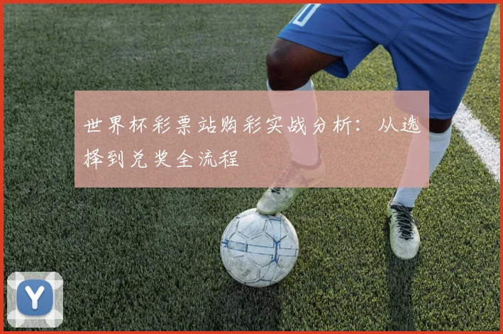 世界杯彩票站购彩实战分析:从选择到兑奖全流程