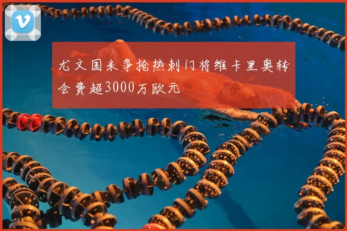 尤文国米争抢热刺门将维卡里奥转会费超3000万欧元