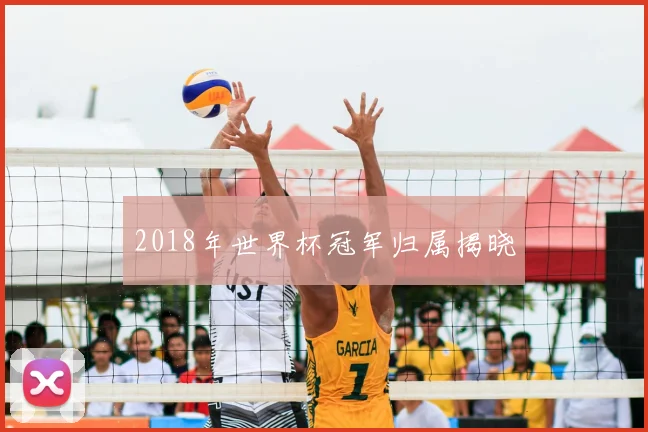 2018年世界杯冠军归属揭晓