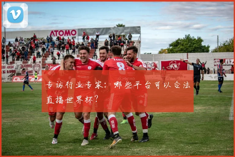 专访行业专家:哪些平台可以合法直播世界杯?