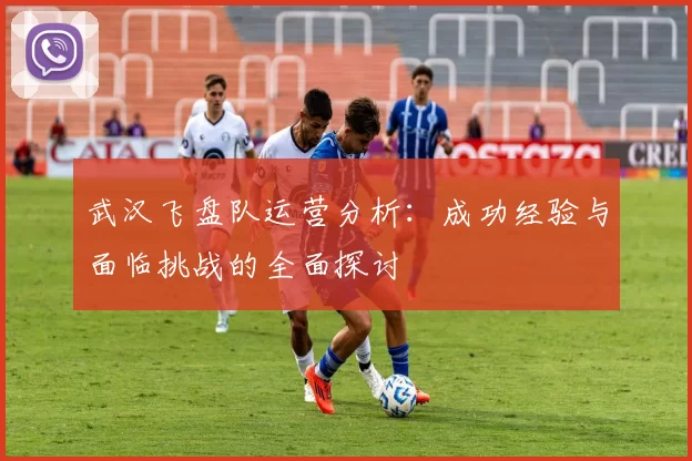 武汉飞盘队运营分析：成功经验与面临挑战的全面探讨