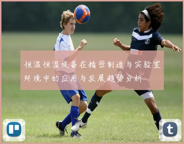 恒温恒湿设备在精密制造与实验室环境中的应用与发展趋势分析