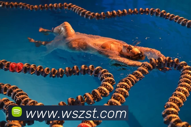 华体育会hth发展历程